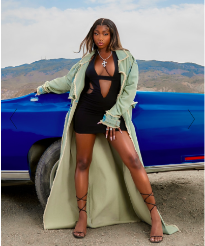 PLT VINTAGE DISTRESSED TRENCH COAT Fashion.ie 2023